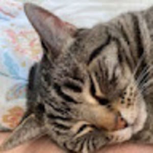 Meet your Posher, Louisa